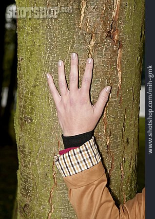 
                Baum, Hand, Naturverbunden                   
