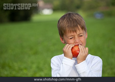 
                Junge, Apfel, Abbeißen                   