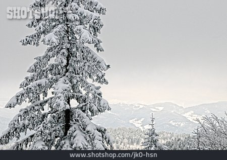 
                Winterlandschaft, Schwarzwald, Schneefall                   