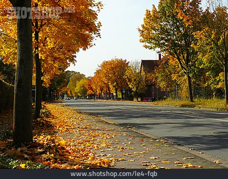 
                Straße, Herbstlich                   