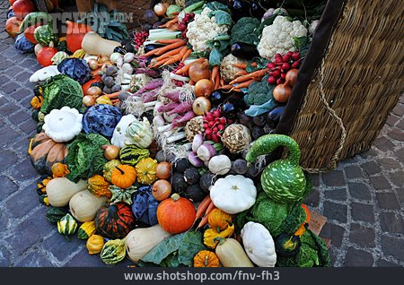 
                Herbst, Lebensmittel, Gemüse, Bio, Biogemüse, Vegetarisch                   