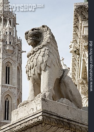 
                Löwe, Löwenstatue, Heiliger Stephan                   