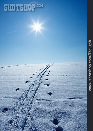 
                Snow, Snow Track, Ski Track, Winter Sun                   