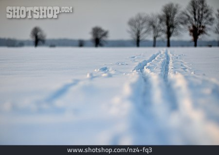 
                Winterlandschaft, Schneespur                   