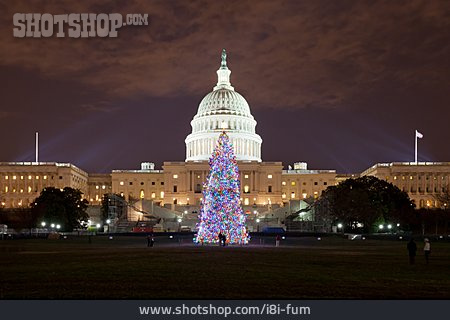 
                Weihnachtsbaum, Kapitol                   