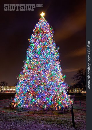 
                Christmas Tree, Washington                   
