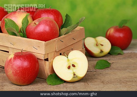 
                Apfel, Ernte, Apfelernte                   