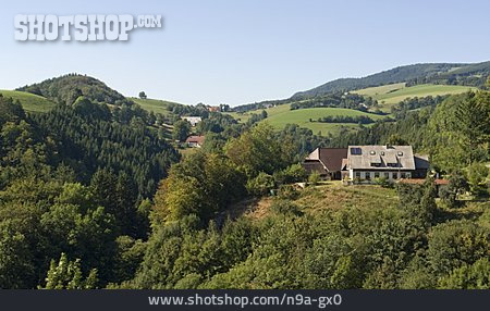 
                Schwarzwald                   