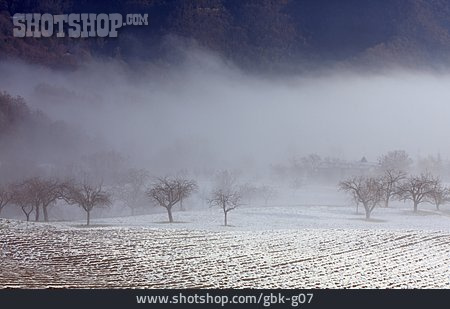 
                Acker, Winterlandschaft, Nebel                   