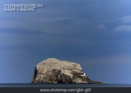 
                Schottland, Felseninsel, Bass Rock                   