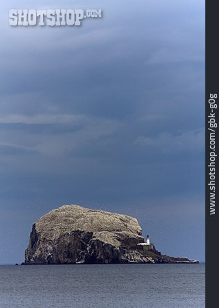 
                Scotland, Rock Island, Bass Rock                   