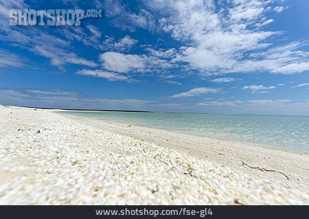 
                Strand, Shell Beach                   