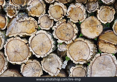 
                Holz, Holzstapel, Holzwirtschaft                   
