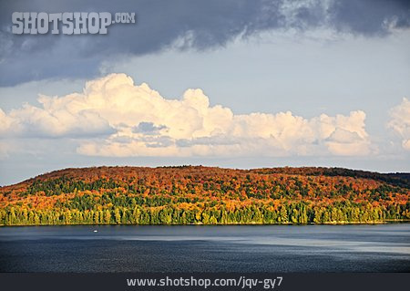 
                See, Wald, Kanada, Algonquin Provincial Park                   
