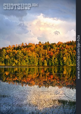 
                See, Herbst, Kanada, Algonquin Provincial Park                   