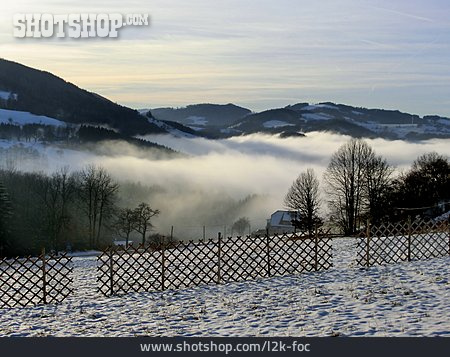 
                Winterlandschaft, Nebel                   