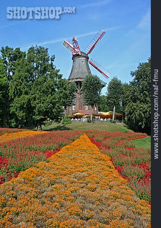 
                Windmühle, Bremen, Blumenbeet                   
