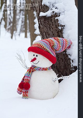 
                Winter, Snowman, Winter Decoration                   