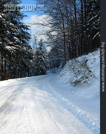 
                Waldweg, Verschneit, Straße                   