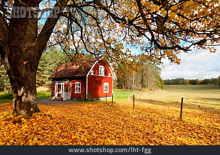 
                Autumn, Sweden House                   