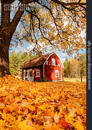 
                Wohnhaus, Herbst, Haus, Ferienhaus                   