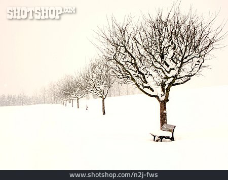 
                Winter, Winter Landscape, Snowy, Snowscape                   