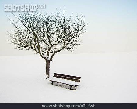 
                Winter, Winter Landscape, Snowscape                   