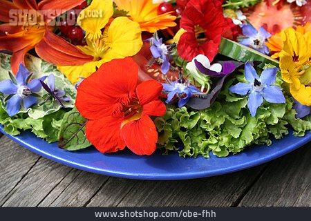 
                Blüte, Salatteller                   