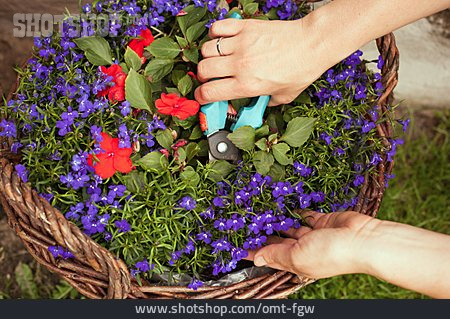 
                Gartenarbeit, Blumenkorb                   
