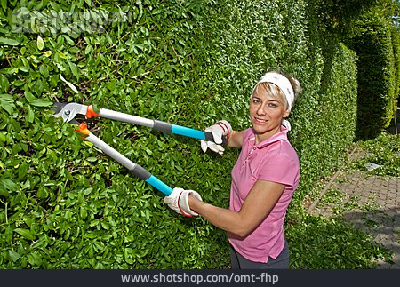 
                Frau, Gartenarbeit, Hecke, Heckenschere                   