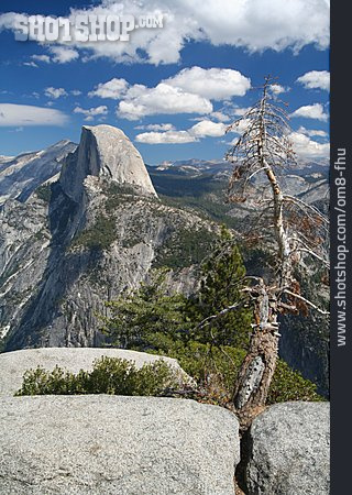 
                Yosemite National Park                   