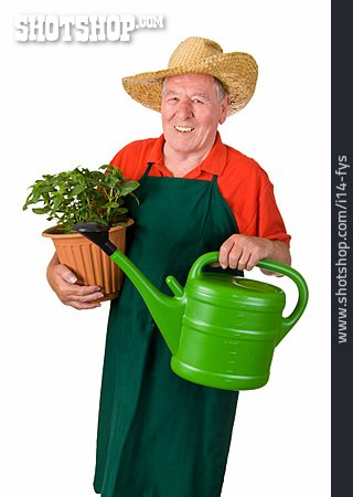 
                Mann, Senior, Gartenarbeit, Gärtner                   
