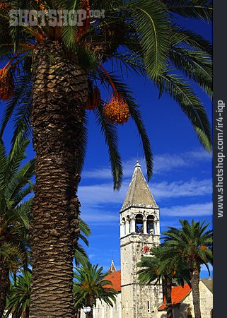 
                Kirchturm, Palme, Trogir                   