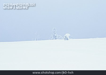 
                Winterlandschaft, Verschneit                   