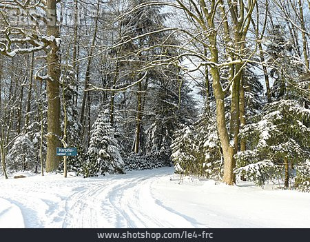
                Waldweg, Verschneit                   