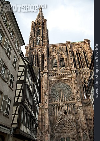
                Kathedrale, Straßburger Münster                   