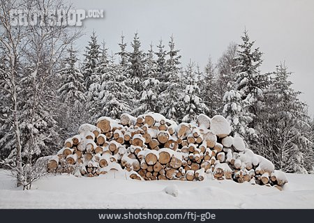 
                Winter, Brennholz                   