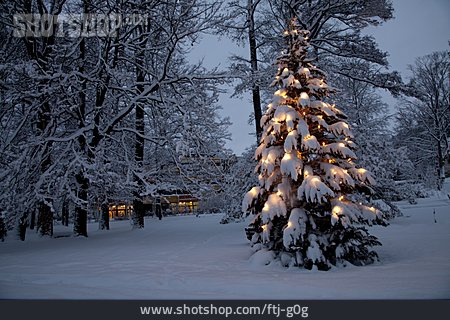 
                Weihnachtsbaum, Weihnachtlich                   