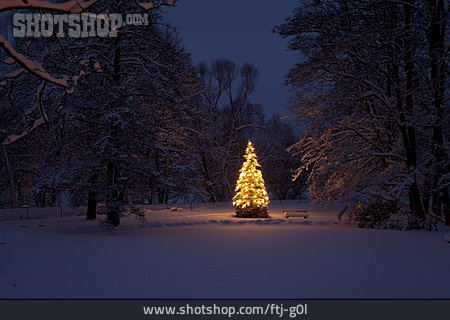
                Weihnachtsbaum, Weihnachtlich                   