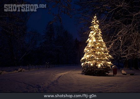 
                Weihnachtszeit, Weihnachtsbaum, Weihnachtlich                   