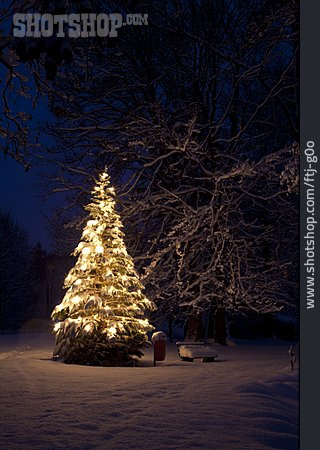 
                Christmas Tree, Christmas                   