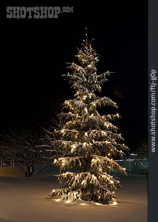 
                Christmas Tree, Christmas                   