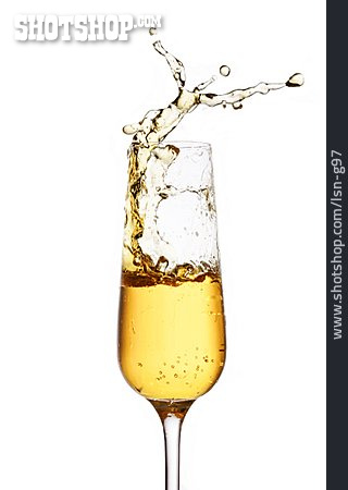 
                Champagner, Splash, Schaumwein                   