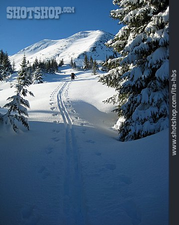 
                Wintersport, Skigebiet, Schneewanderung                   