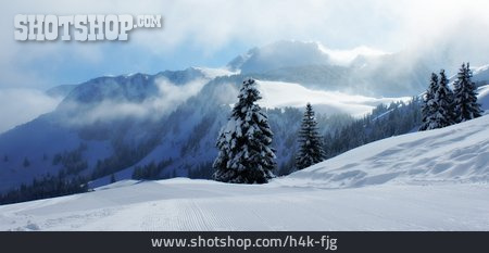 
                Winterlandschaft, Berner Oberland, Gantrisch                   