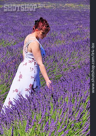 
                Frau, Provence, Lavendelfeld                   