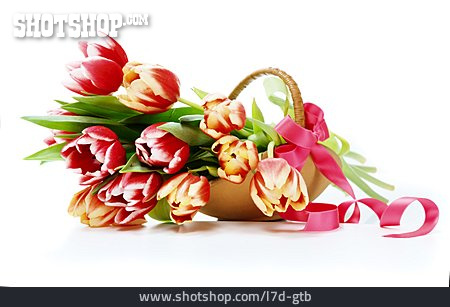 
                Tulpe, Blumengeschenk, Frühlingsdekoration                   