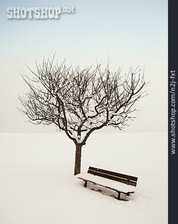 
                Tree, Winter, Silence, Bench                   