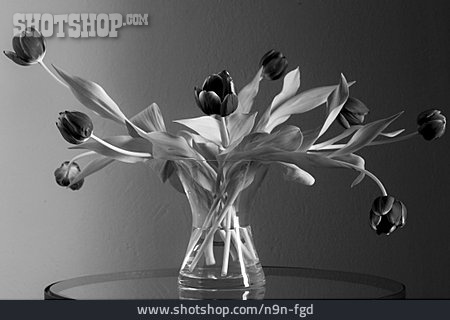 
                Tulpe, Tulpenstrauß, Blumenvase, Vase                   