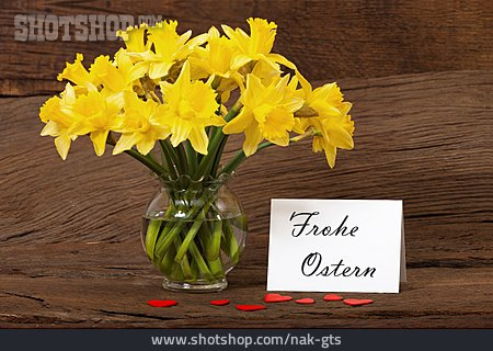 
                Ostern, Narzissen, Frohe Ostern                   